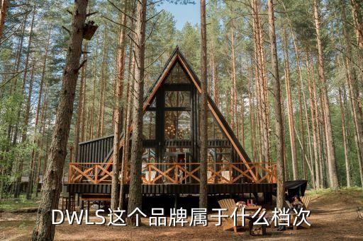 DWLS这个品牌属于什么档次