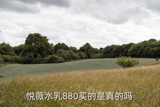 资生堂悦薇一套多少钱