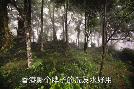 香港哪个牌子的洗发水好用