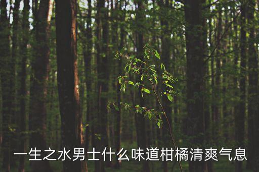  一生之水男士什么味道柑橘清爽气息