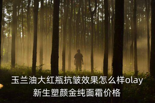 玉兰油大红瓶抗皱效果怎么样olay新生塑颜金纯面霜价格