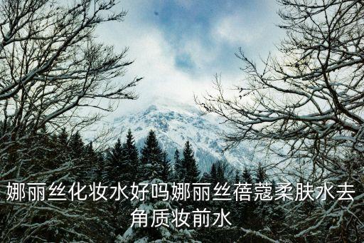 娜丽丝化妆水好吗娜丽丝蓓蔻柔肤水去角质妆前水