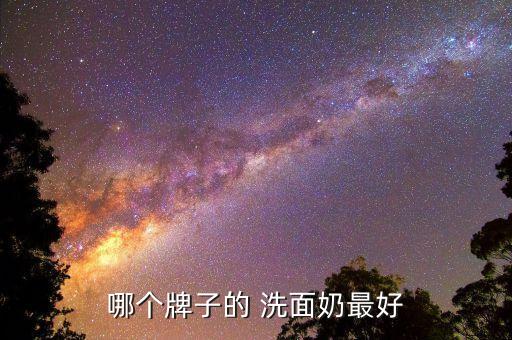 哪个牌子的 洗面奶最好