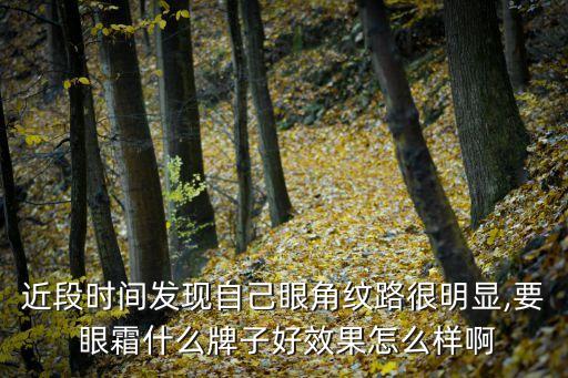 肌养晶的眼霜怎么样,斯德林格晶亮眼霜怎么样
