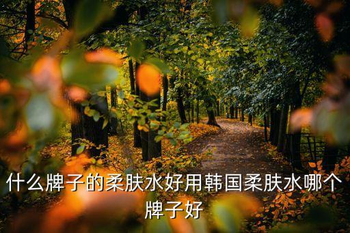 什么牌子的柔肤水好用韩国柔肤水哪个牌子好