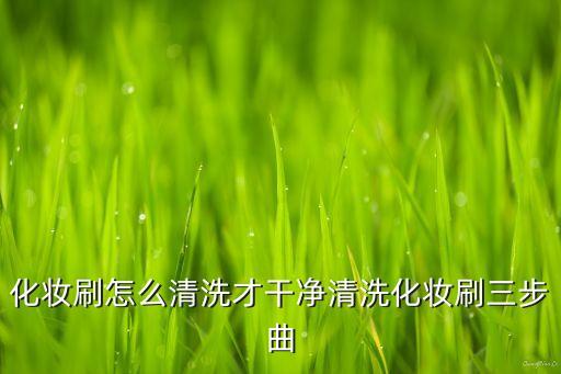 化妆刷怎么清洗才干净清洗化妆刷三步曲