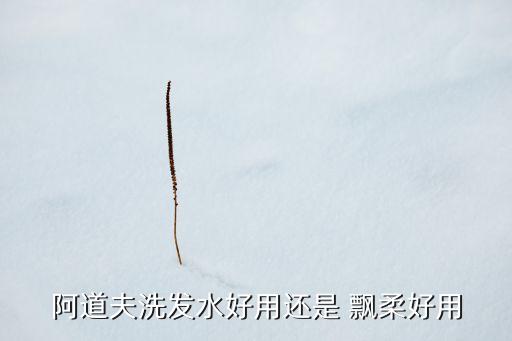 阿道夫洗发水好用还是 飘柔好用