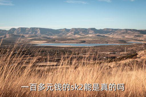 一百多元钱的sk2能是真的吗