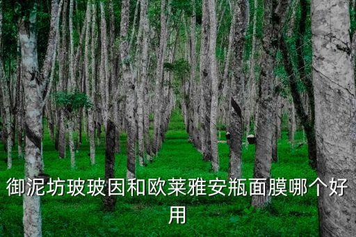 御泥坊玻玻因和欧莱雅安瓶面膜哪个好用