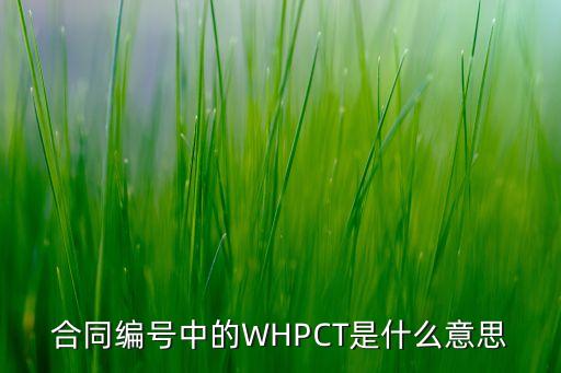 合同编号中的WHPCT是什么意思