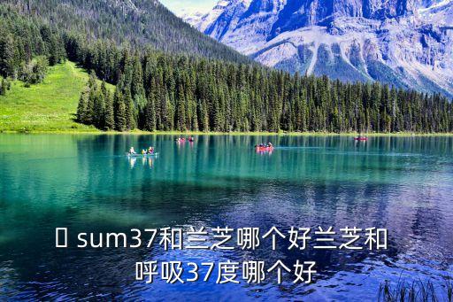 ​ sum37和兰芝哪个好兰芝和 呼吸37度哪个好