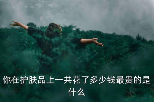你在护肤品上一共花了多少钱最贵的是什么