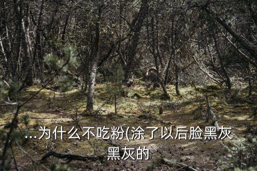 ...为什么不吃粉(涂了以后脸黑灰黑灰的