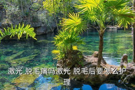 激光 脱毛痛吗激光 脱毛后要怎么护理