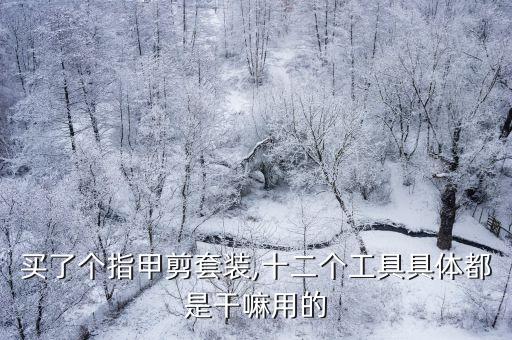 买了个指甲剪套装,十二个工具具体都是干嘛用的