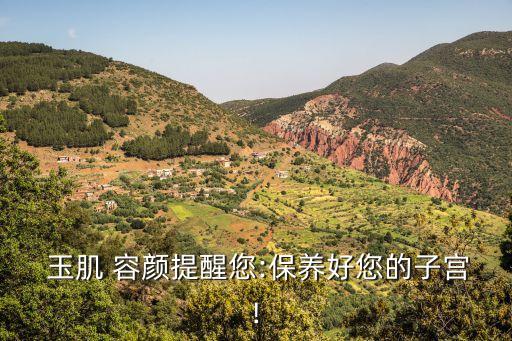玉肌容颜这款化妆品怎么样