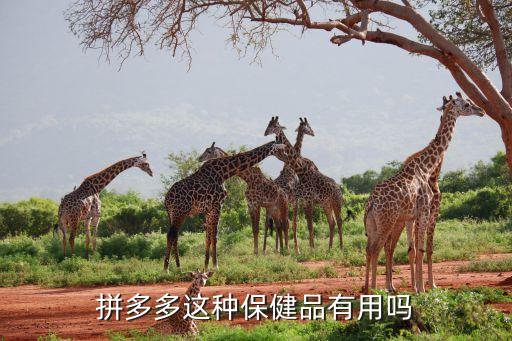 拼多多这种保健品有用吗