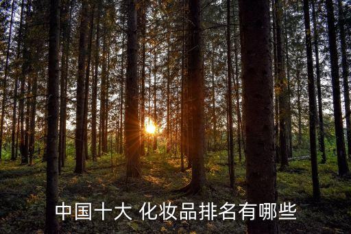 中国十大 化妆品排名有哪些
