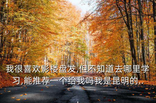 我很喜欢影楼盘发,但不知道去哪里学习,能推荐一个给我吗我是昆明的...