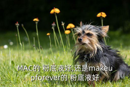 mac粉底哪个好,MAC粉底