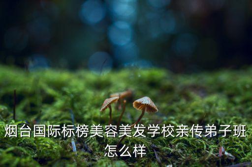 烟台国际标榜美容美发学校亲传弟子班怎么样