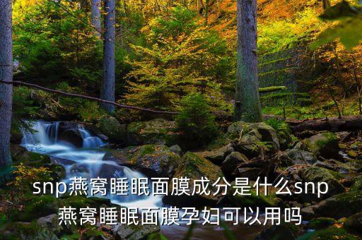 snp燕窝面膜怎么敷,韩国snp海洋燕窝面膜怎么样？