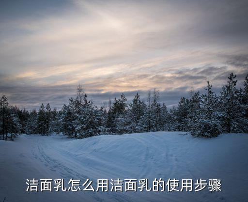 贝德玛净妍毛孔修护乳怎么用啊,深圳阿里网络科技有限公司