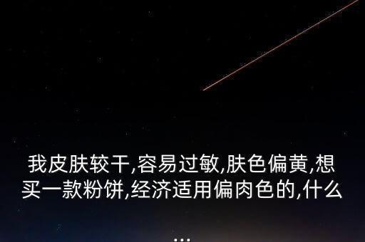 我皮肤较干,容易过敏,肤色偏黄,想买一款粉饼,经济适用偏肉色的,什么...