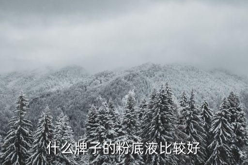 什么牌子的粉底液比较好