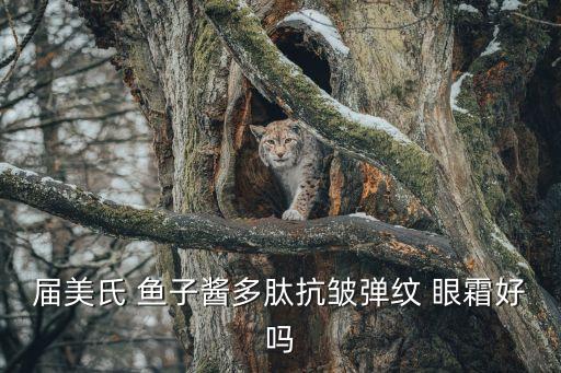 届美氏 鱼子酱多肽抗皱弹纹 眼霜好吗