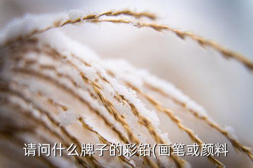 请问什么牌子的彩铅(画笔或颜料