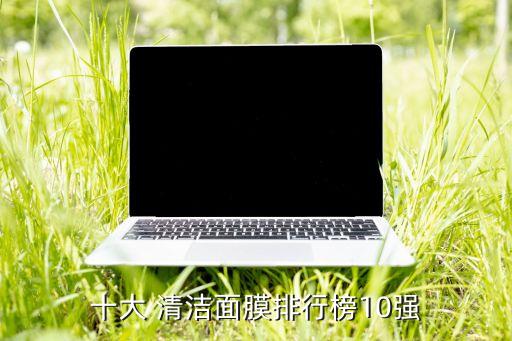 十大 清洁面膜排行榜10强