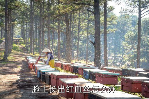 脸上长出红血丝怎么办