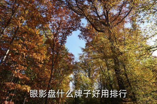 迪奥9宫格的眼影怎么样,迪奥眼影怎么用?看这里!