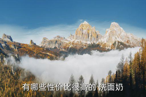 有哪些性价比很高的 洗面奶