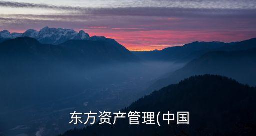  东方资产管理(中国