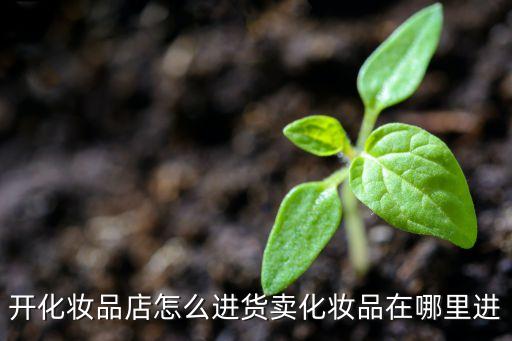 如何寻找彩妆消费者,化妆品连锁加盟如何经营?