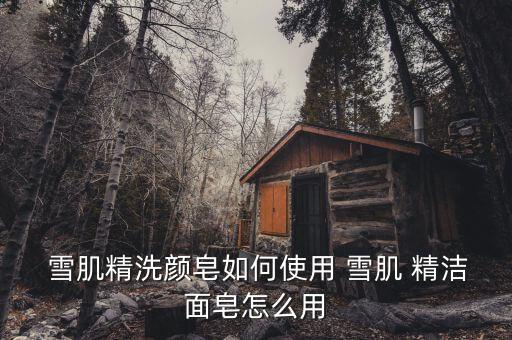  雪肌精洗颜皂如何使用 雪肌 精洁面皂怎么用