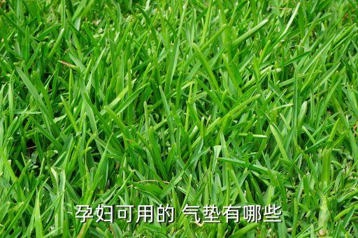 娇韵诗气垫粉底液怎么样,毛戈平的气垫粉底液怎么样