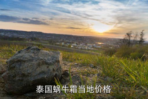 蜗牛蛋白新肌霜多少钱,伊琳娜肌源修护蜗牛蛋白精华液价格多少?