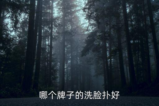哪个牌子的洗脸扑好