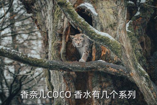 香奈儿COCO 香水有几个系列