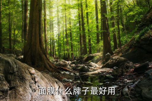  面膜什么牌子最好用