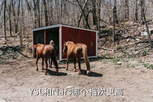 YSL和Nars哪个档次更高