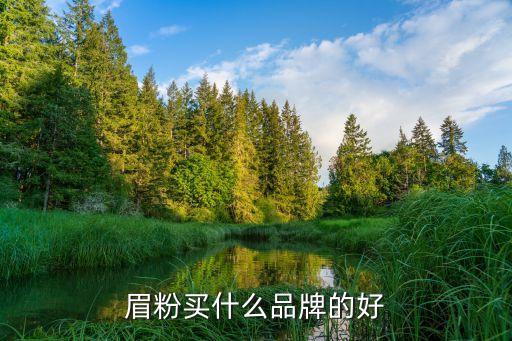 眉粉买什么品牌的好