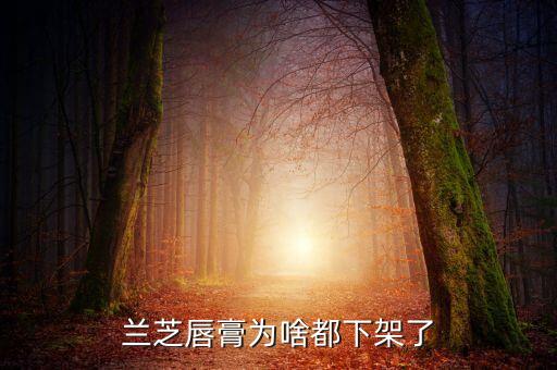 兰芝唇膏为啥都下架了