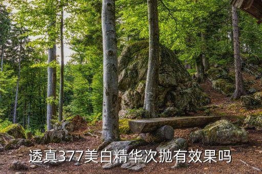 透真377美白精华次抛有效果吗