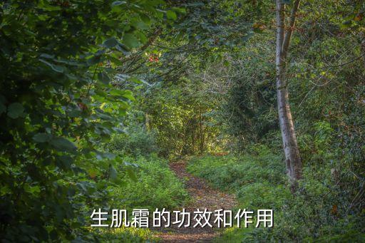 生肌霜的功效和作用