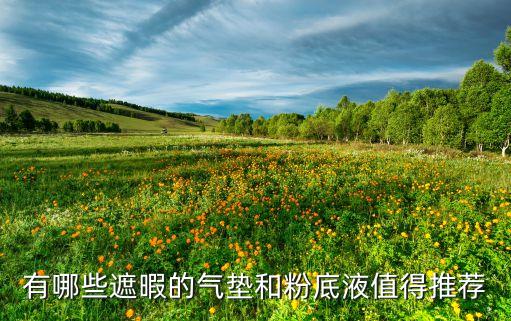 有哪些遮暇的气垫和粉底液值得推荐