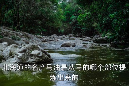 马油怎么提炼,马油的功效与作用